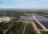 sse1 2